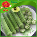 FRESH GREEN OKRA